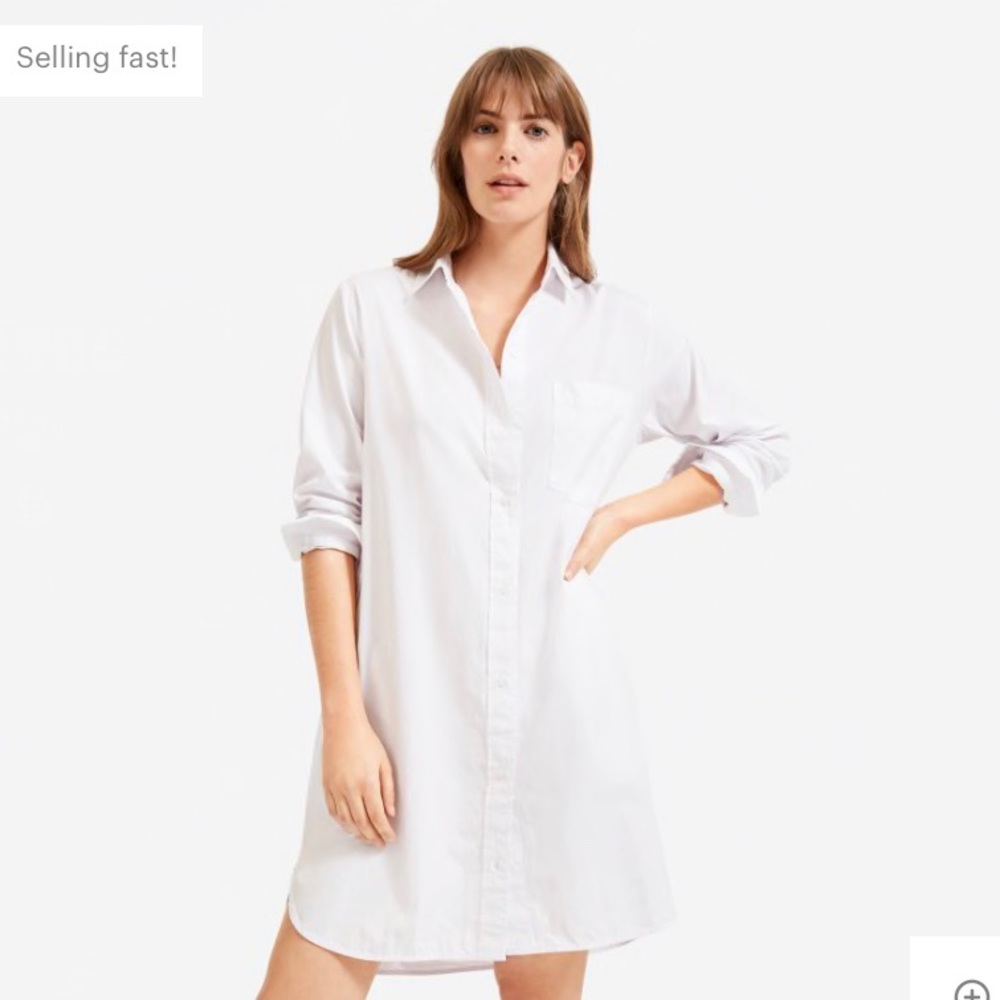 Everlane Cotton Shirtdress